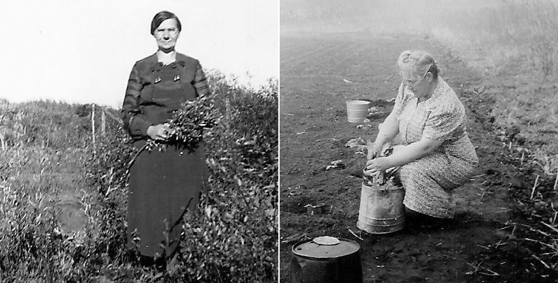 An older woman in a long dress stands in a field with tall grass, another older woman is kneeling in front of a bucket.