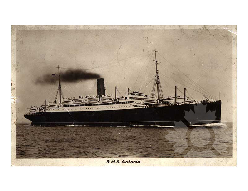 Black and white photo of the ship Antonia (RMS)