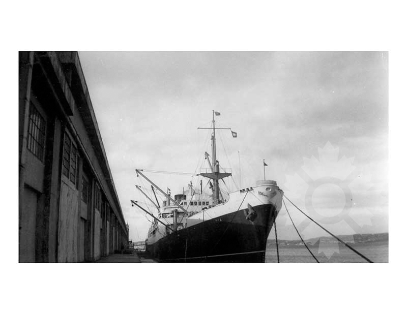 Black and white photo of the ship Arabia III (SS)