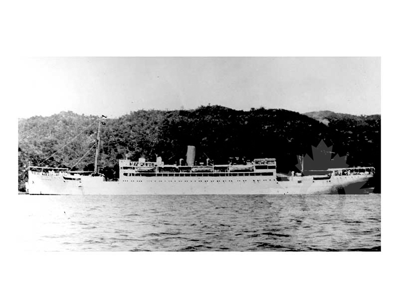 Black and white photo of the ship Ariguani (SS)