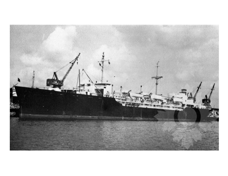 Black and white photo of the ship Marine Shark (USAT) (1945-1967)