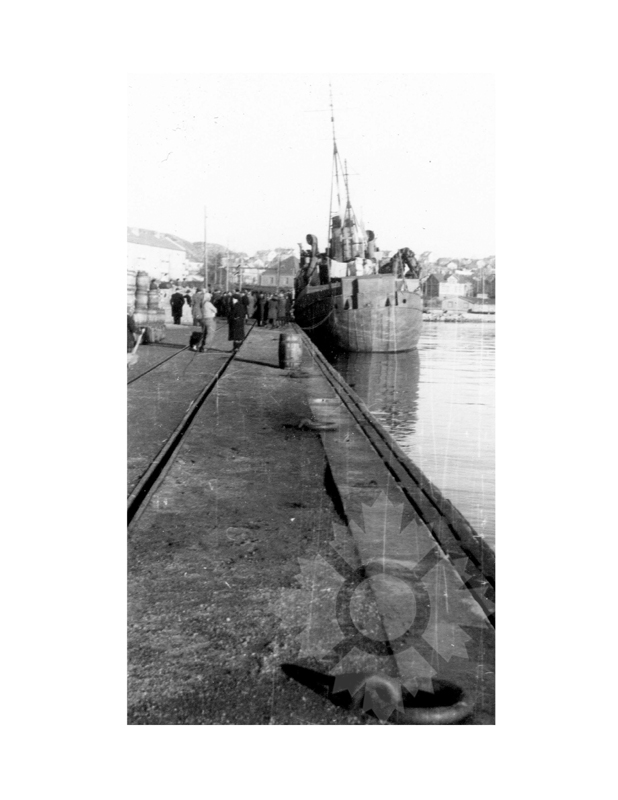 Black and white photo of the ship Walnut (SS) (1939-1949)