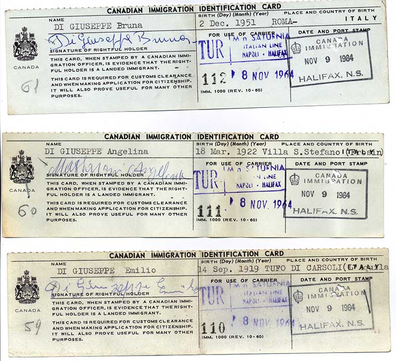 Canadian Immigration Identification Cards issued to Bruna, Angelina, and Emilio Di Giuseppe, 1964. Canadian Museum of Immigration at Pier 21 (DI2013.1788.4).