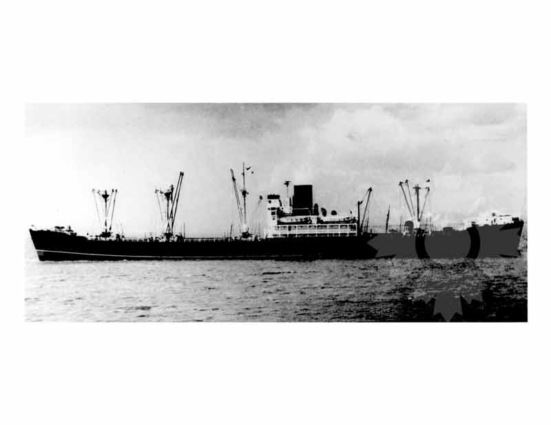 Black and white photo of the ship Egidia (MV) (1945-1962)