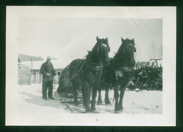 Ed Smith's work horses on Lipton farm. Canadian Museum of Immigration at Pier 21 (DI2013.1641.1).