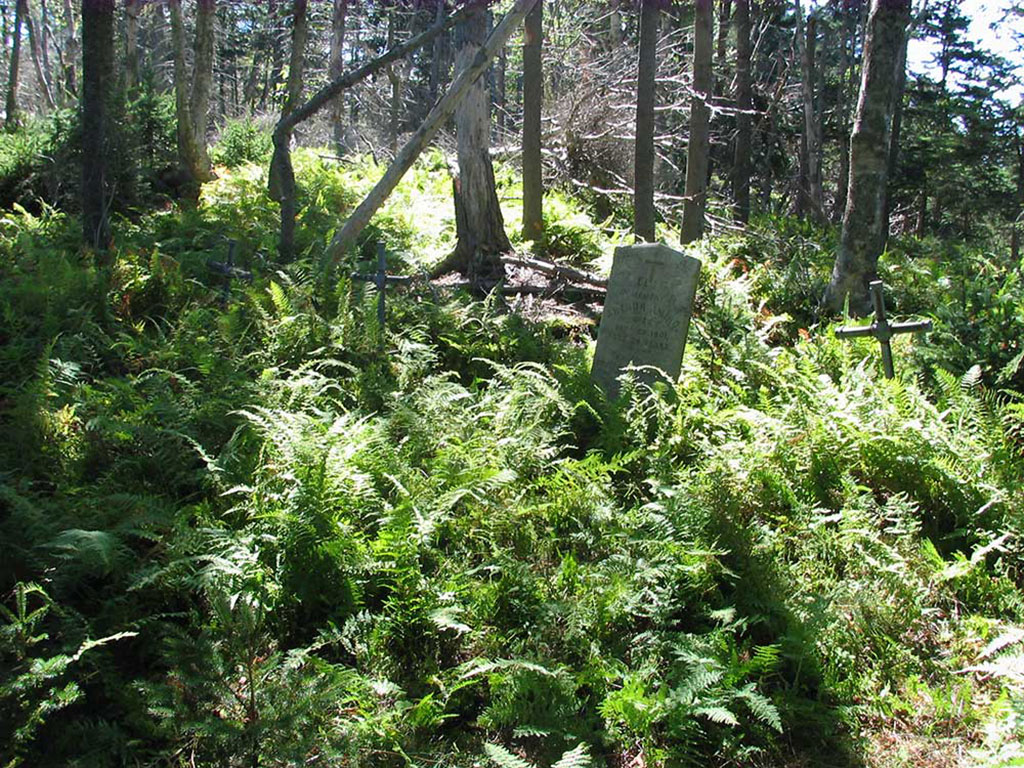 Overgrown forest area with tombstones and crosses sticking up through the foliage.