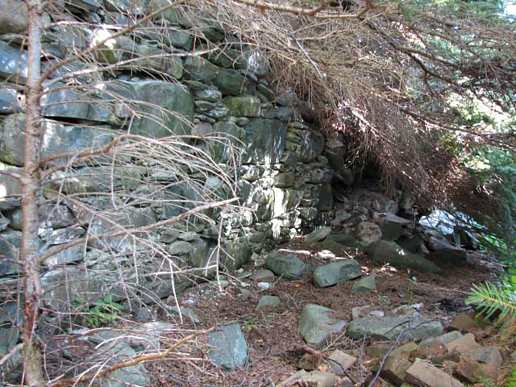 An abandoned building made of stones sits in the middle of a forest.