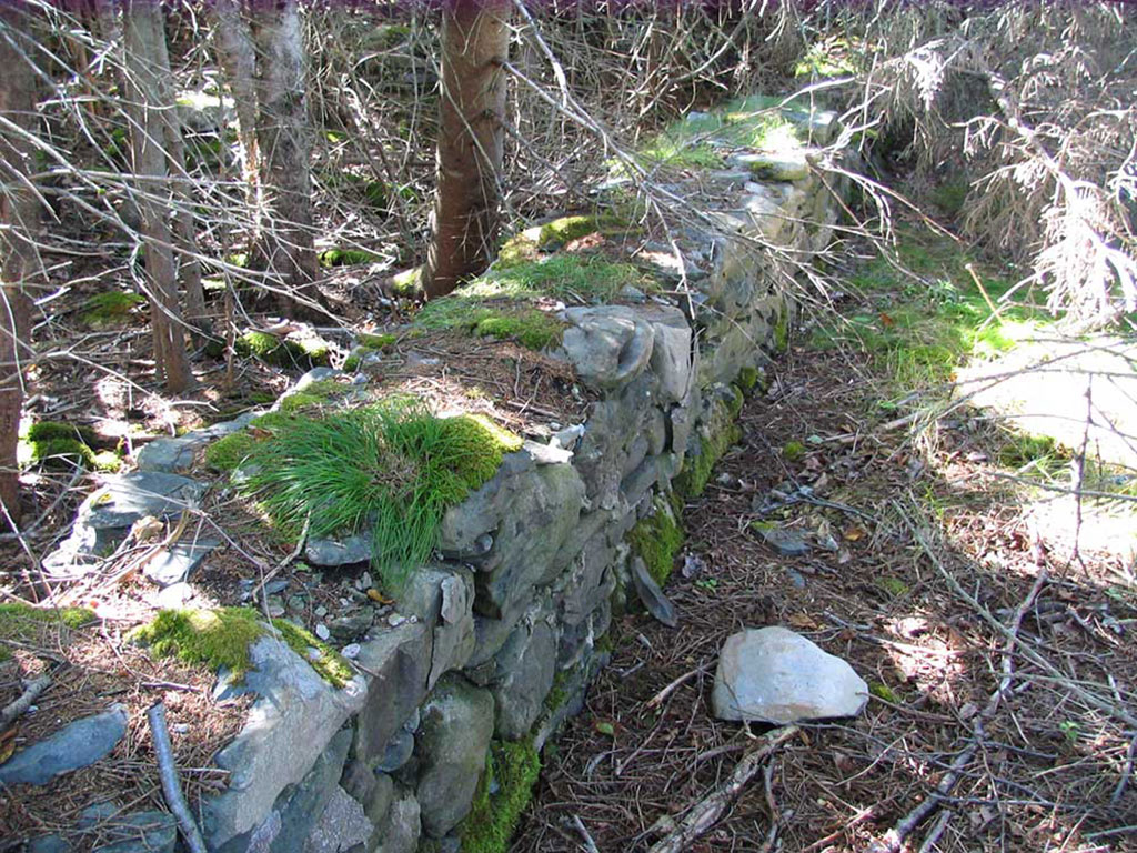 A stone wall covered with moss and fallen branches.