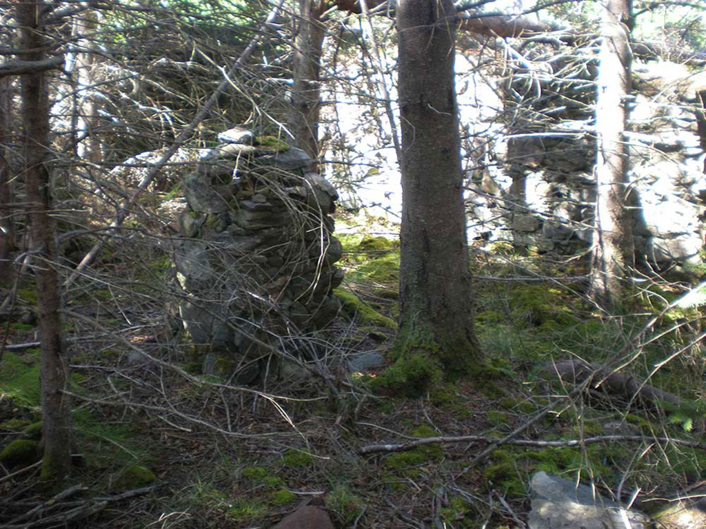 Old stone structures in the middle of a forest.