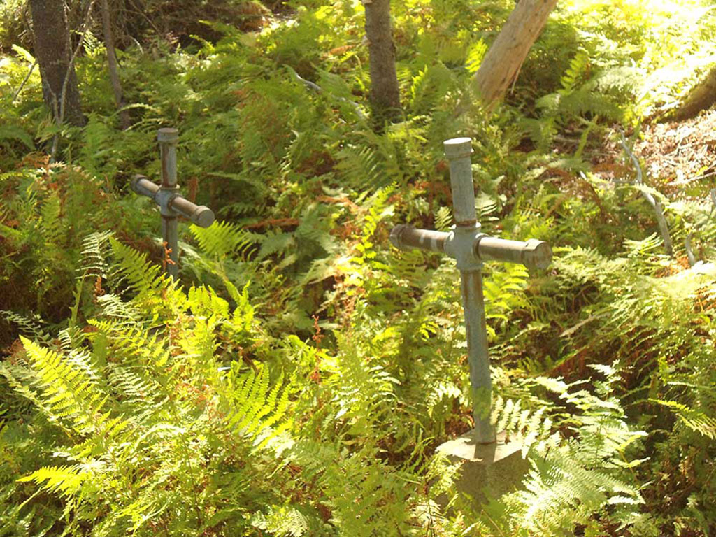A close-up of two crosses sticking up through the ferns in a forest.