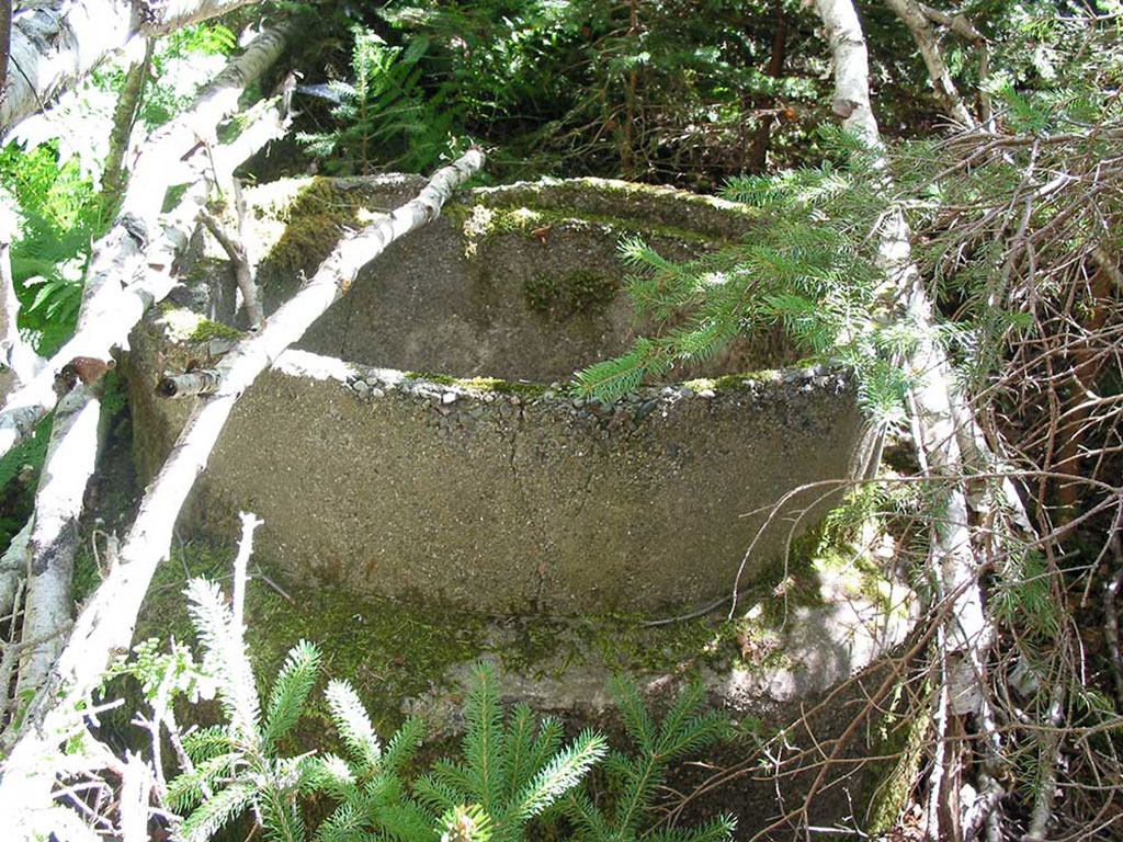 Stone remains of a house.