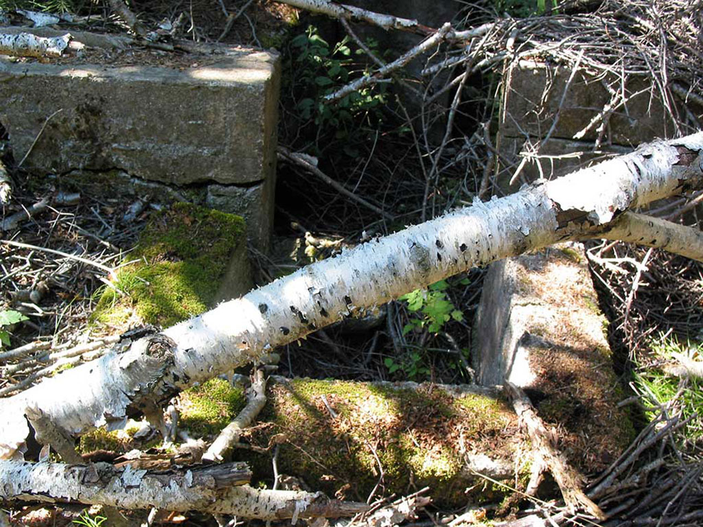 Stone remains of a house.