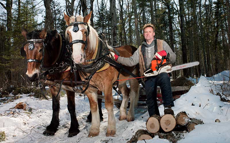 A man stands in the snow with two horses, cut wood, and a chainsaw.