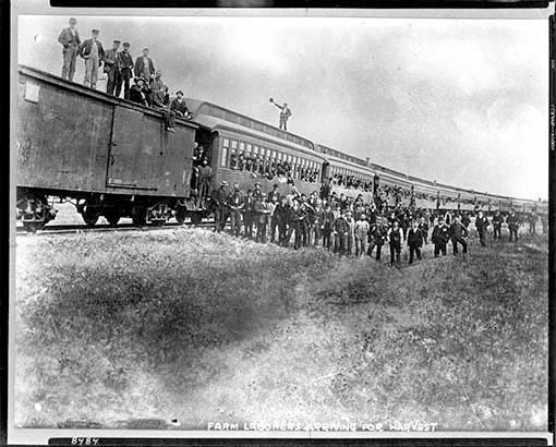 People crowded around rail cars. Some people are standing on top of the colonist cars.