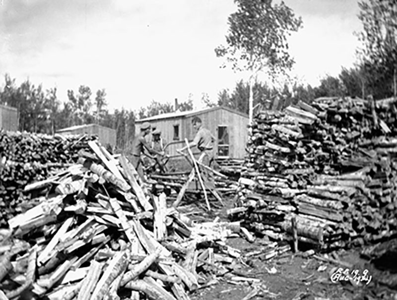 Three young men are sawing wood, many piles of logs can be seen in the foreground.