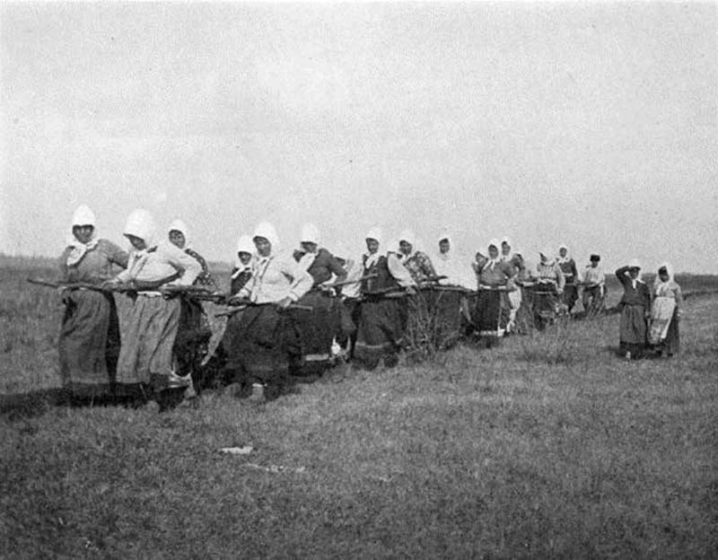Doukhobour women are shown pulling a plough through a field in Saskatchewan.