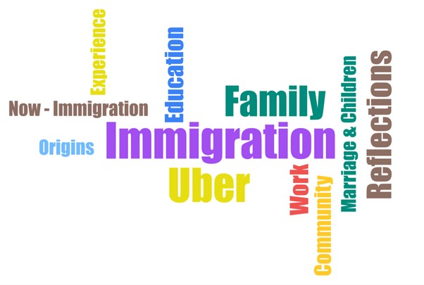 Word cloud based on interview codes with thirteen words in various colours and sizes, immigration being the largest.