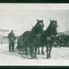 Ed Smith's work horses on Lipton farm. Canadian Museum of Immigration at Pier 21 (DI2013.1641.1).