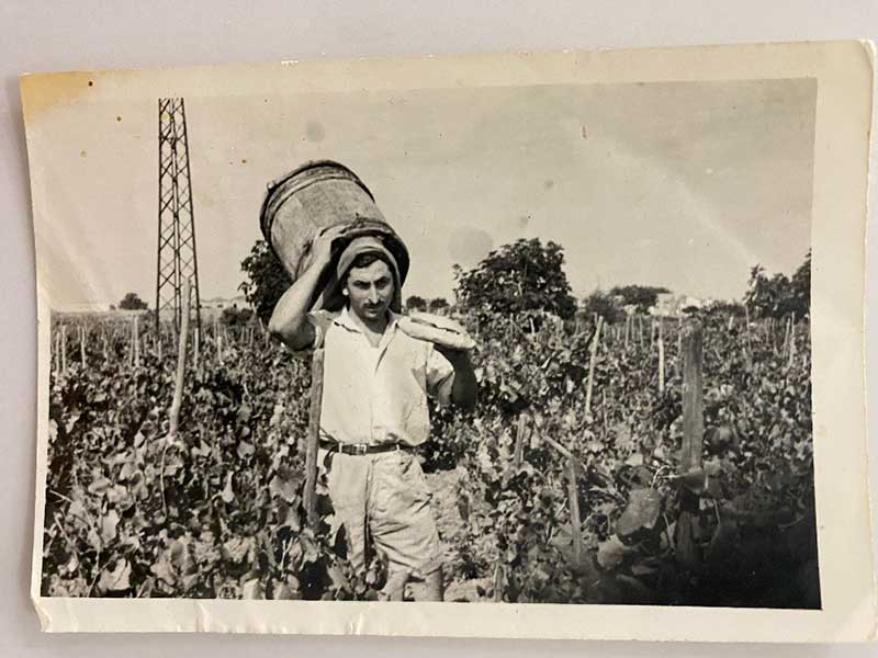 Very old image of a young man working with crops, he is carrying a huge wooden vat.