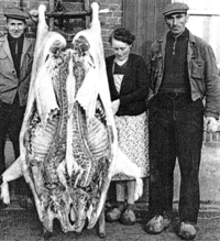 Two men and a woman surrounding a hanging animal carcass.