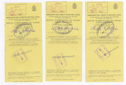 Three yellow cards indicating Immigration Identification Card.