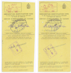 Two yellow cards indicating Immigration Identification Card.