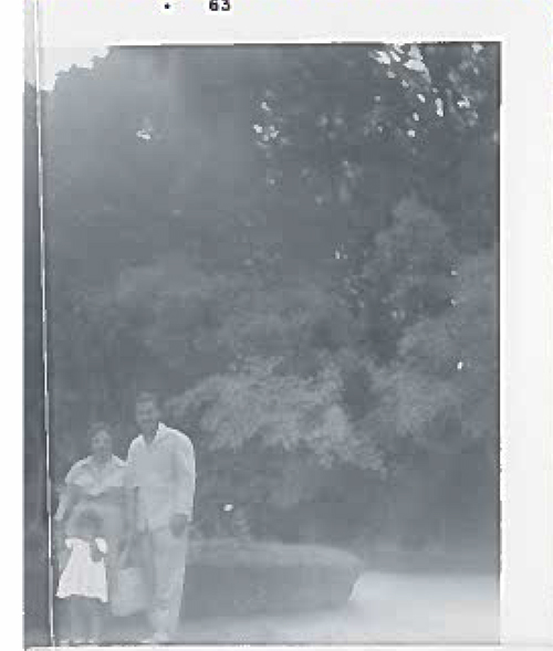 A couple is standing in front of tree with a small child.