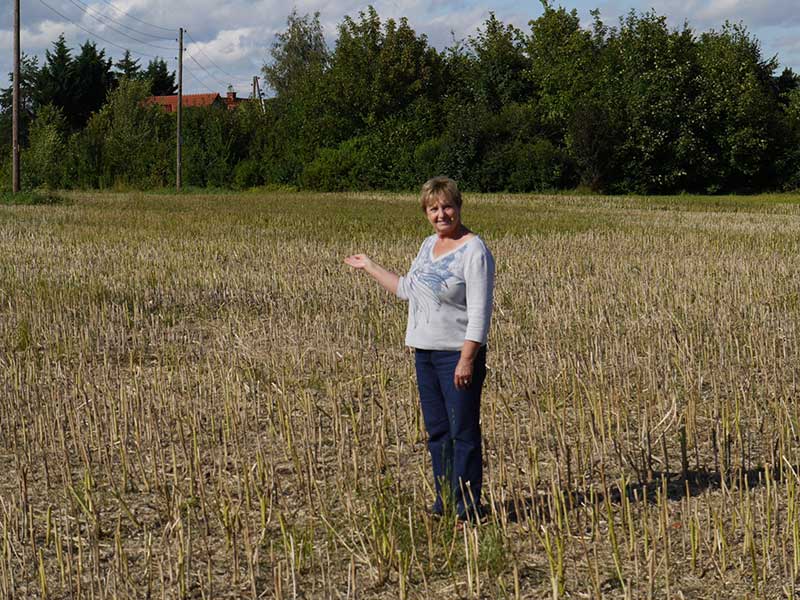 A woman stands in a big field.