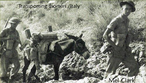 Two young men wearing miltary uniform travelling on the mountain by putting stuff on donkey.