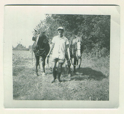A young man in a white shirt and cap walks through a field leading two horses.