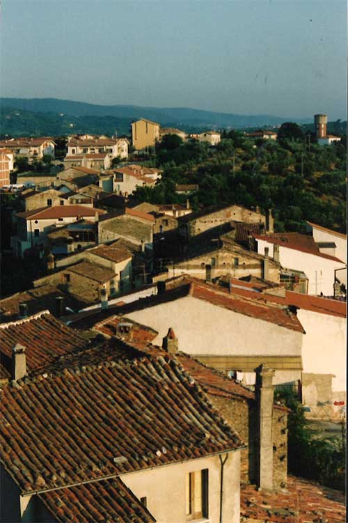 Scenic view of a small town with rooftops and trees visible.