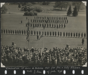 Aerial view of a field with a large crowd watching a military formation.